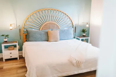 Rave Reviews Walk to Downtown Dunedin and Waterfront Barefoot Parrot 1