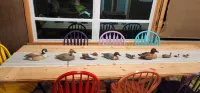 Cozy home with great fishing from dock.Peaceful and Private with nature trails.