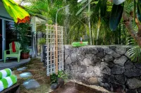 Breathtaking Sunset Views and Perfect Backyard Pool and BBQ