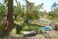 Un Balcon sur la Méditerranée 1