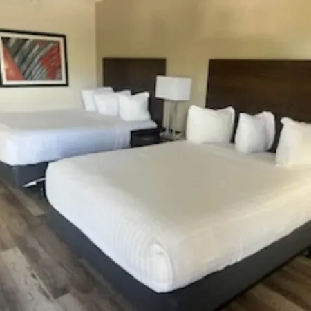 Ramada by Wyndham Sarasota Waterfront, Tikki Bar & Grill, Near Airport & Beaches