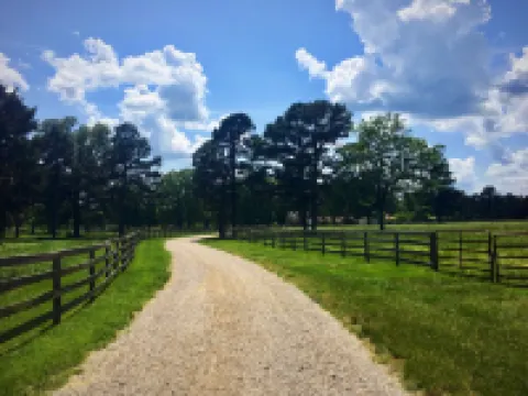 Rustic Lodge for 14 near Current River on private 35 acres