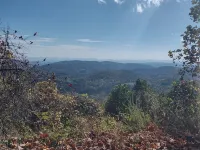 Remote cabin with gorgeous view and sunsets, pets free, fast Wi-Fi!