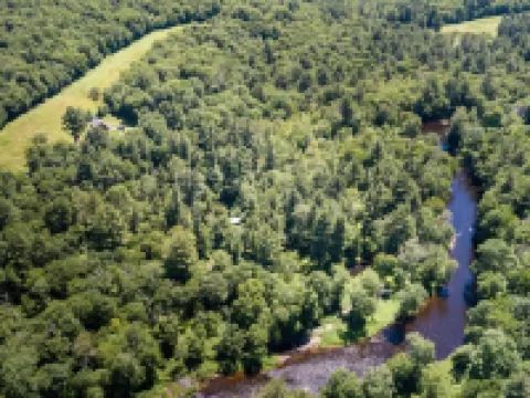 Tall Pines Log Cabin Retreat  Upgraded with Fiber Optic Internet