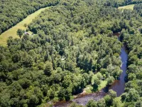 Tall Pines Log Cabin Retreat  Disconnect, Relax, and Reconnect with Nature!