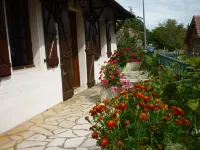 Maison de Campagne, Rivière Lot au Fond du Jardin, Randonnées