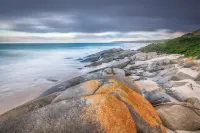 Yambacoona House: bring your people together on King Island Hotel a King Island