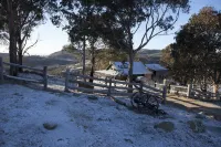 Bush Grove on the snowy river