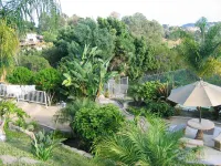 Private Pickelball Ct, BBQ, Fire Pit, Large Pool, Near Frontwave Arena and Ocean Hotels near Hobby Lobby