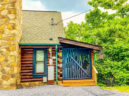 The Adaha Cabin Rustic&Cozy at Douglas Lake
