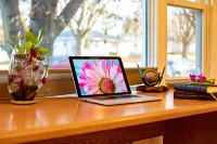 The BEST Stay in Town: See Pictures to Believe