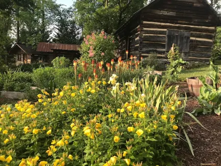 Cozy Cabin at Historic Gillespie Stone House<br> Отели в г. Лаймстон
