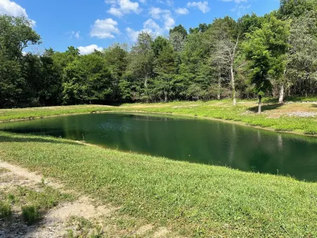 Sweet Vintage Camper in a Fun Farm Setting