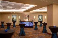 Houston Airport Marriott at George Bush InterContinental - bar