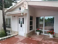 Cozy house in pine forest