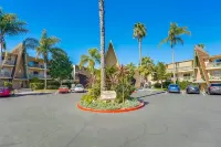 The Beachbird - Near Seaworld, The Beach and Downtown! AC in rooms!