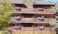 Lionshead Village Gem-Dog Friendly-Views and Charm! Low Rates! Pool Hot Tubs! Hotels in 