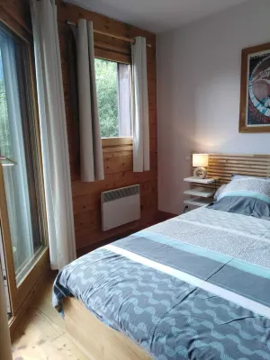 Very nice apartment skis Chamonix Valley Hotels near Pointe de Lapaz