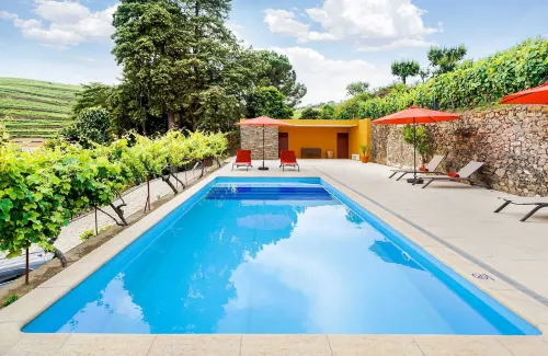 Casa do Salgueiral - Pet Friendly