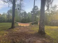 Cozy cabin on Lake Seminole, the bass capitalOf the world!