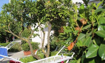 B&B Country House Il Grappolo