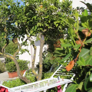 B&B Country House Il Grappolo