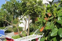 B&B Country House Il Grappolo Các khách sạn ở Vallo della Lucania