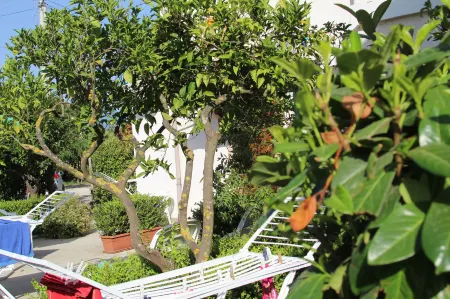 B&B Country House Il Grappolo