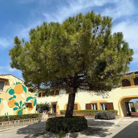 Tenuta Fasanarella