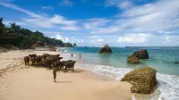NIHI Sumba - شاطئ