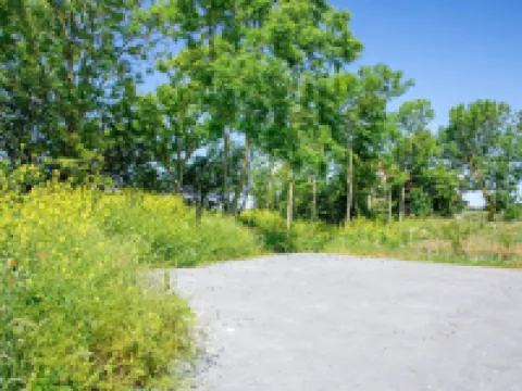 Villa on Texel Near Wadden Sea & Bird Area