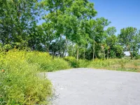 Villa on Texel Near Wadden Sea & Bird Area