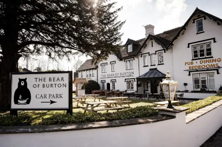 Bear of Burton