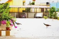 Ramana Towers Hotels in Tiruvannamalai