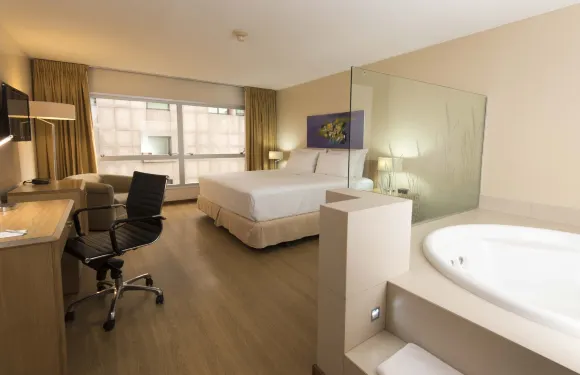 Holiday Inn 蒙得維的亞