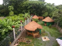 Pottery Garden Villa Hotels in 
