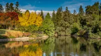 Fenced Yard and Close to Downtown Attractions - Cozy Charming Hotels in Davis