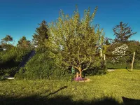 Große Giebelwohnung im Ferienhaus Makrele von 1877