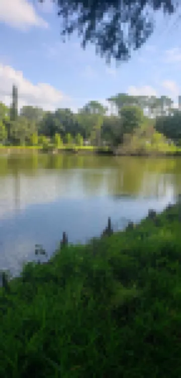 Private Fenced Backyard and Fast Wifi - Charming Retreat