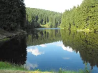 Wald-Ferienwohnung in Wildemann