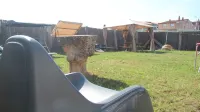 Albergue Alfonso II Hôtels à : Melide