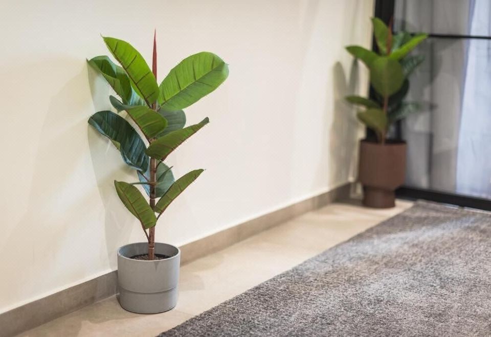 [필리아 플레이스의 깔끔한 주방 및 거실 공간]