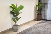 Filia Place Hotels in 