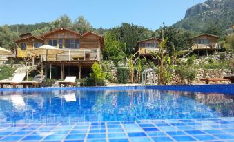 Olive Garden Kabak