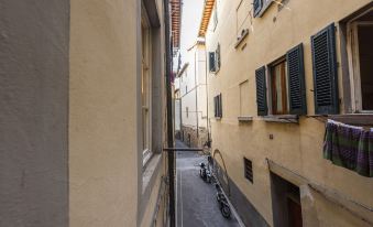 3. 피티 스튜디오 ..