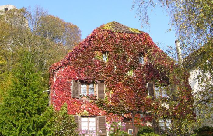 La Maison des 5 Temps chambres d'hôtes de charme - Ferrette