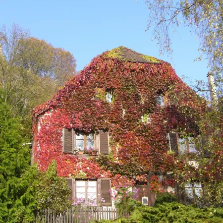 Maison des 5 Temps - Chambres Dhôtes de Charme à Ferrette