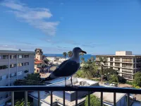 Inn by the Sea, la Jolla - Ocean View