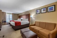 Comfort Suites Pelham Hoover I-65 Hotels in Pelham