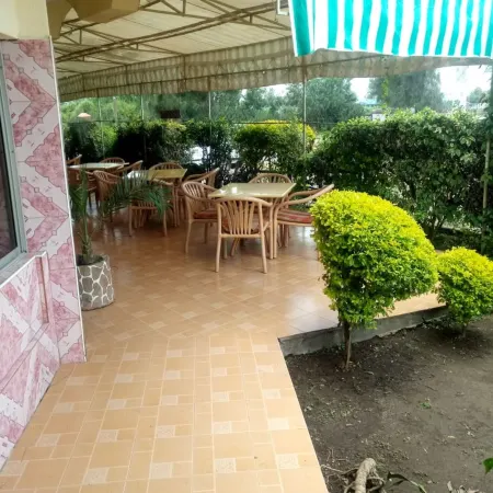 Hotel Freci